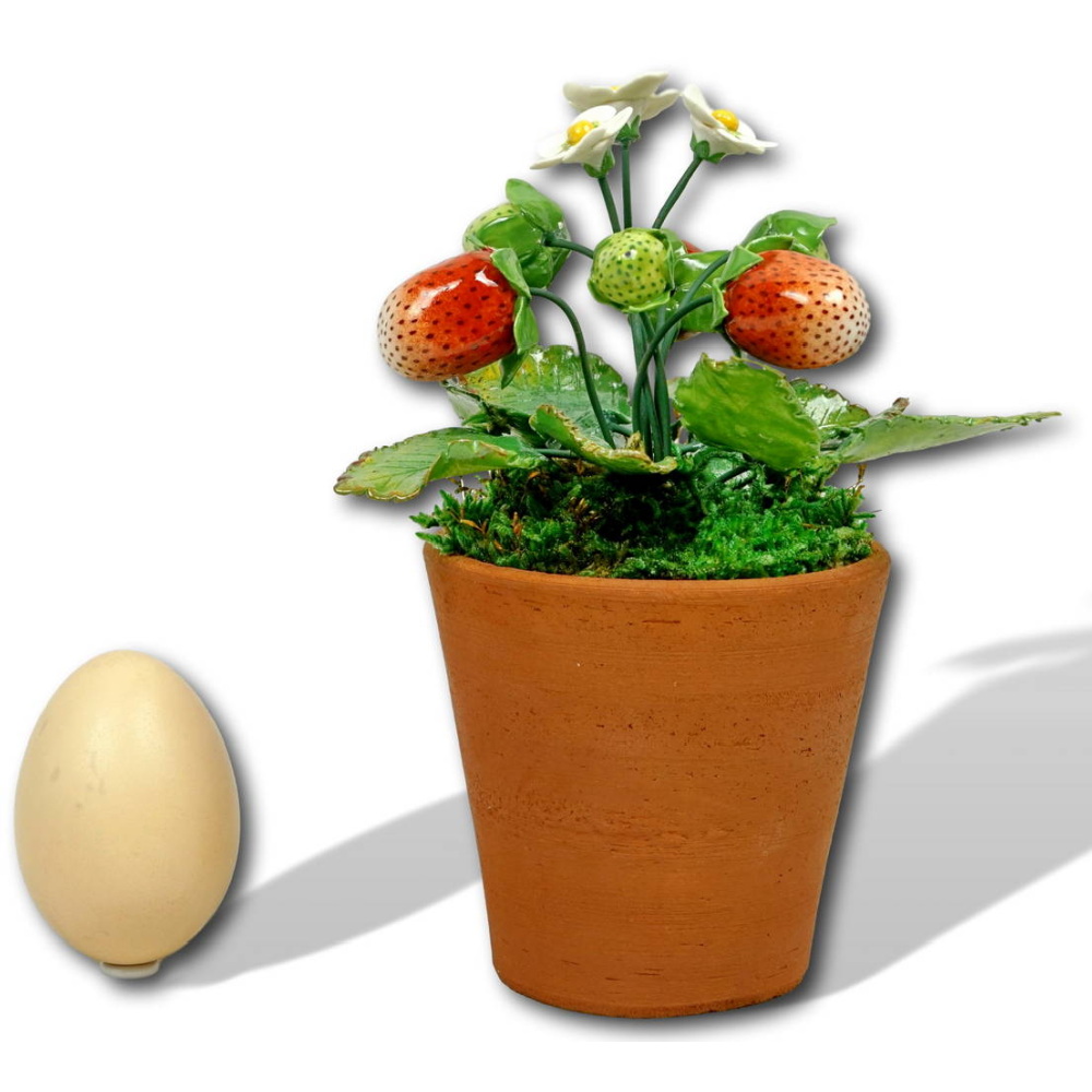 Fruits - FRAISIERS en porcelaine de Didier GARDILLOU - Ep. CONTEMPORAINE