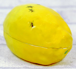 BOITE-CITRON_FOURMIS-Didier_GARDILLOU-3