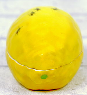 BOITE-CITRON_FOURMIS-Didier_GARDILLOU-4