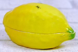 BOITE-CITRON_FOURMIS-Didier_GARDILLOU-5