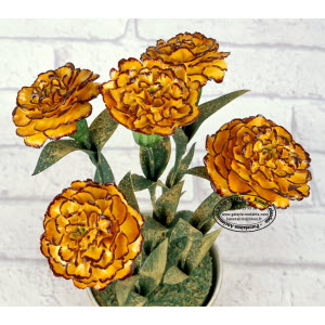 BOUQUET-OEILLETS_d_INDE-Didier_GARDILLOU-7