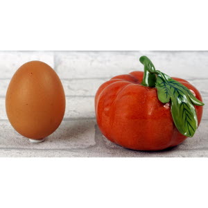 Didier_GARDILLOU-TOMATE-8